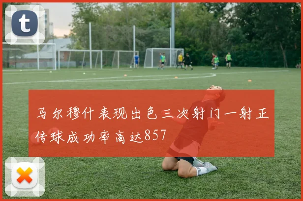 马尔穆什表现出色三次射门一射正传球成功率高达857