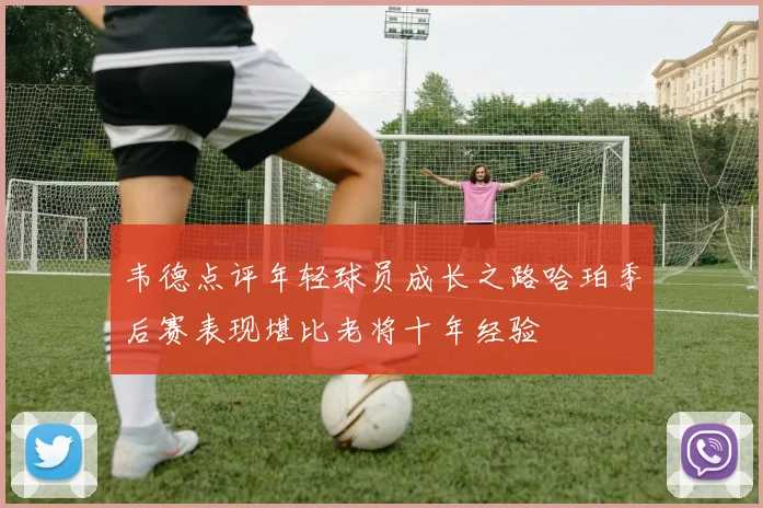 韦德点评年轻球员成长之路哈珀季后赛表现堪比老将十年经验