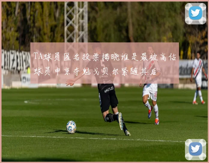 TA球员匿名投票揭晓谁是最被高估球员申京夺魁戈贝尔紧随其后