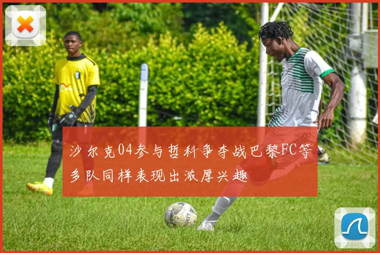 沙尔克04参与哲科争夺战巴黎FC等多队同样表现出浓厚兴趣
